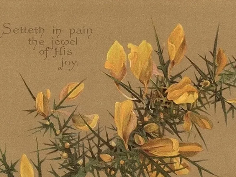 1853-Lilias Trotter - Parabole della Croce